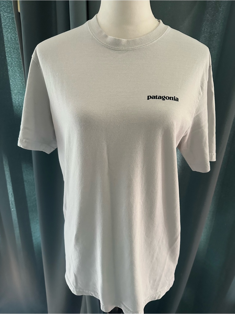 Patagonia Responsibili-Tee T Shirt Mens M White P-6 Logo Graphic Organic Cotton